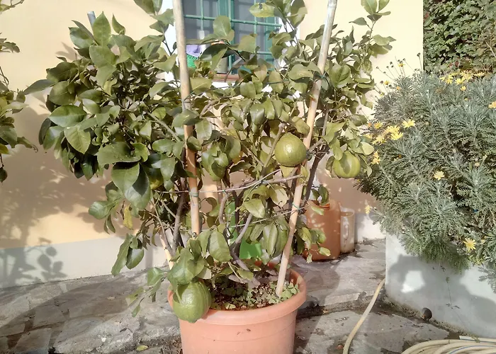 CampofioritoAgriturismo